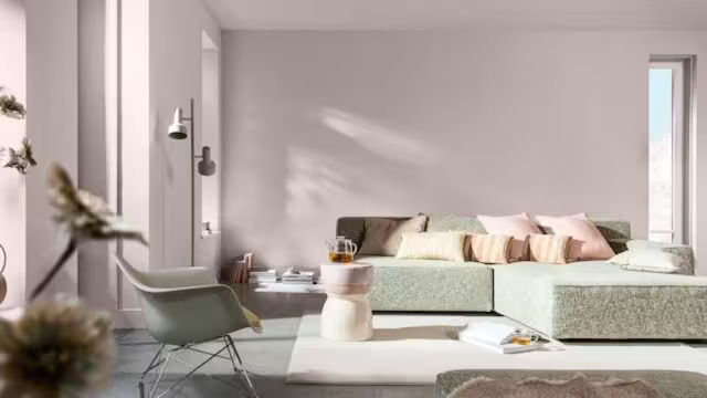 Interior Paints